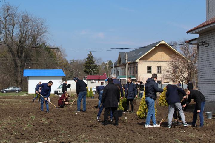 IMG 7524