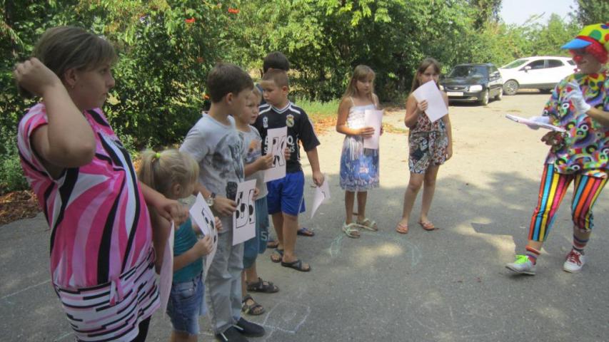 IMG 8982