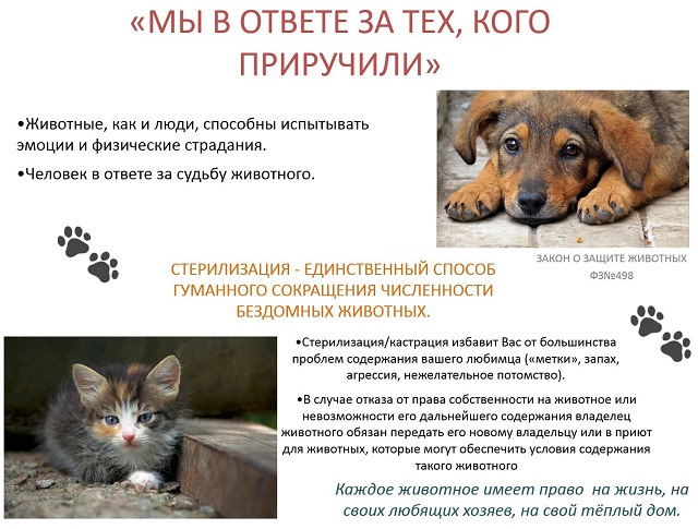 pamyatka 1 4