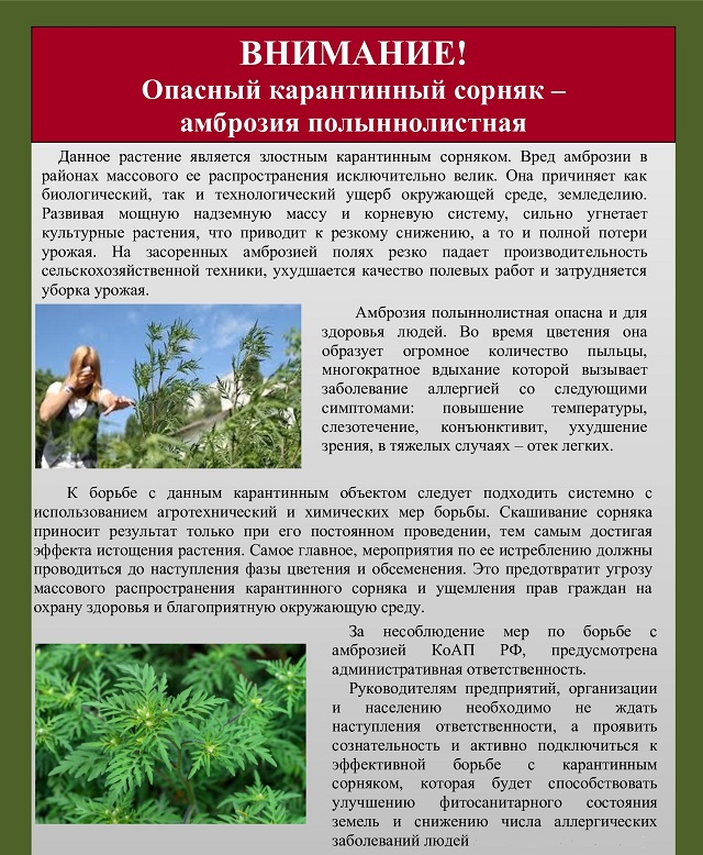 foto 07 09 2022 14 31