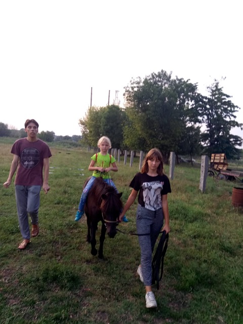 konnii dvor 17-08-2019 3