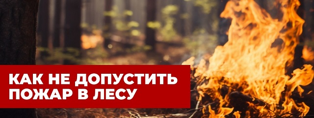 Лесные пожары - это одно из наиболее опасных стихийных бедствий