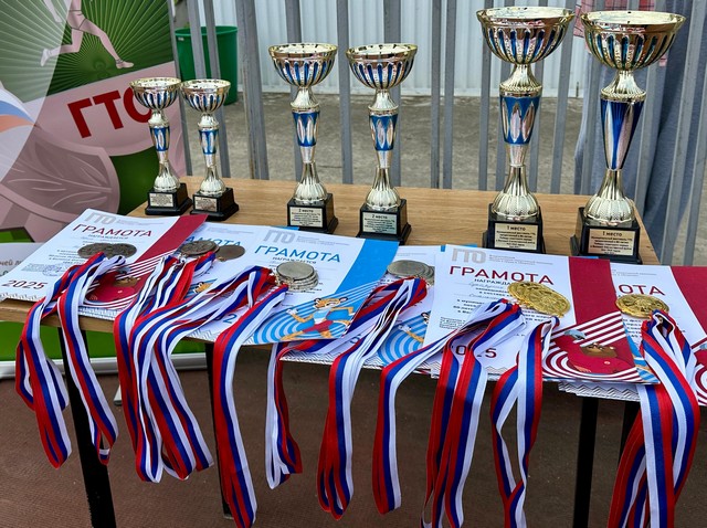 Готов к труду и обороне